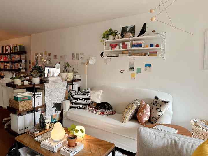 A white and natural toned living room featuring bookshelves, a sofa with a sleeping cat, and cozy patterned cushions