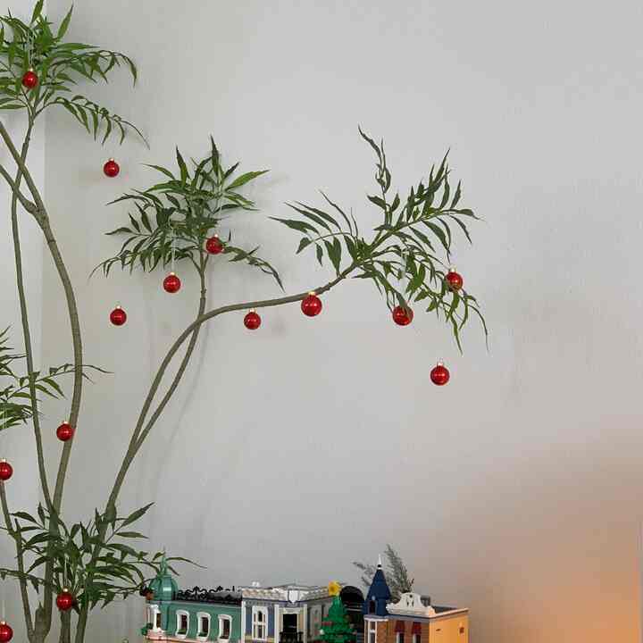 This is one of my favorite tree even it’s not real. I’m not good at caring plants, so I’ve got this from Amazon last year after exploring literally a lot of items and I’m so satisfied with my purchase🫶 
I believe nothing better than real, but aritificial tree can be a great option if you don’t have time to care real plants🍃 The last pic is before that I bought this one, you can see the vibe is changed 100%.
#livingroominterior #livingroom #decoratemyroom #fauxtree