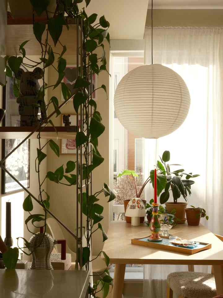 Natural and white toned dining room featuring wood dining table, pendant light, various plants and candles creating a warm atmosphere