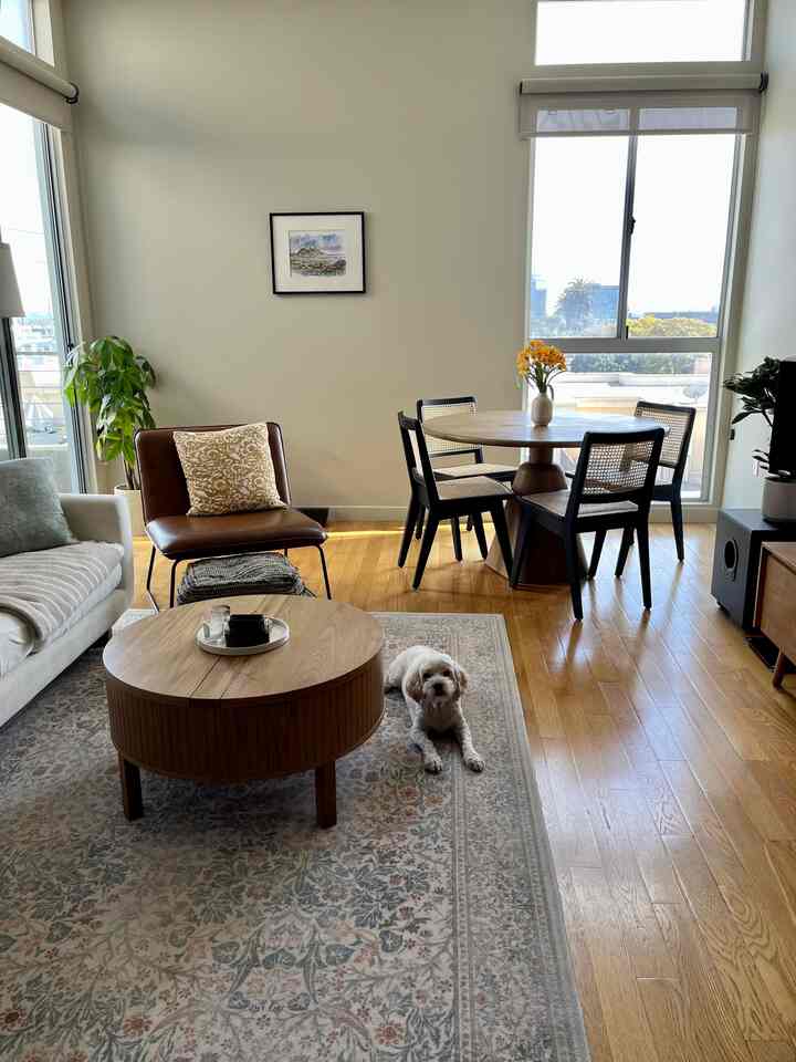#cozyhome #sunlight #midcentury #ruggable #dog #livingroom #livingroominterior