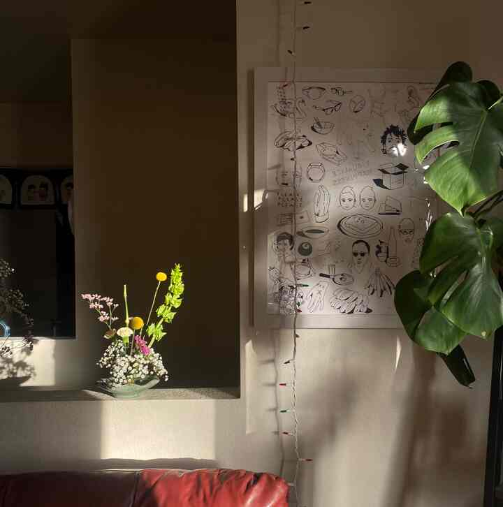 This lighting is so beautiful #plants #flowers #ikebana