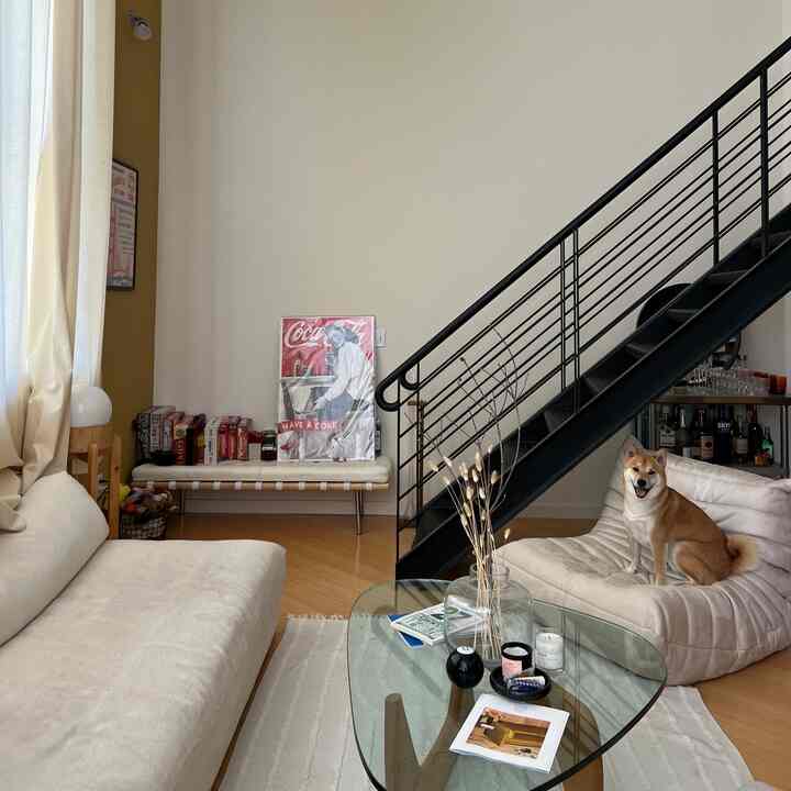 Beige-toned loft living room featuring two sofas, a glass coffee table, and a dog sitting comfortably