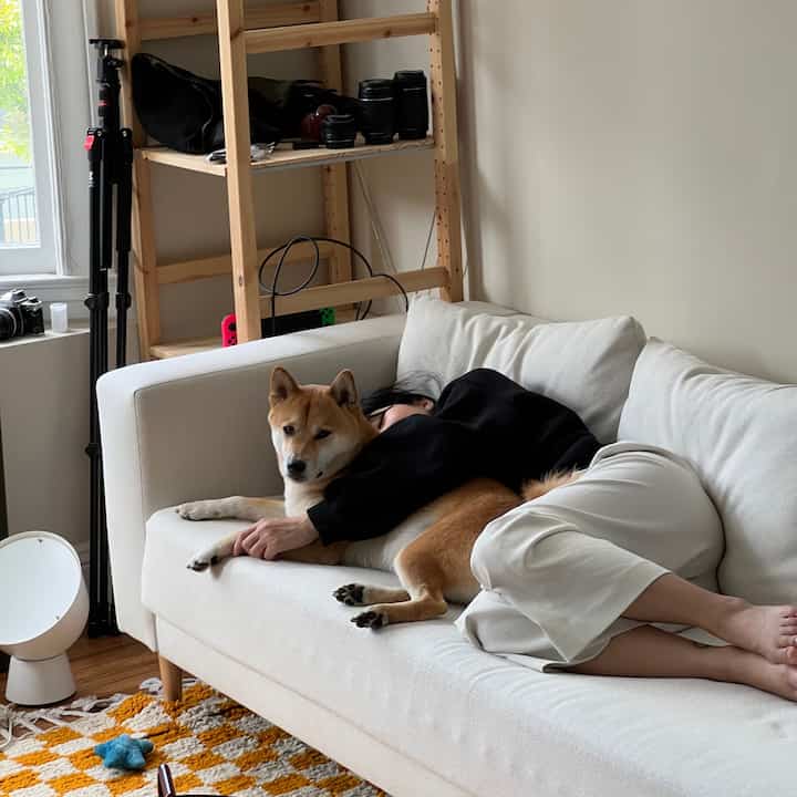 nap time #sanfrancisco #eclectic #cozy