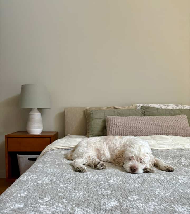Beige and sage green toned bedroom featuring a bed with a white dog resting peacefully on it