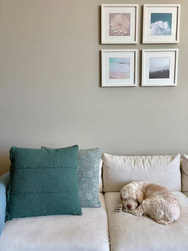 White-toned living room featuring a white sofa with a dog sleeping, showcasing a simple and cozy interior