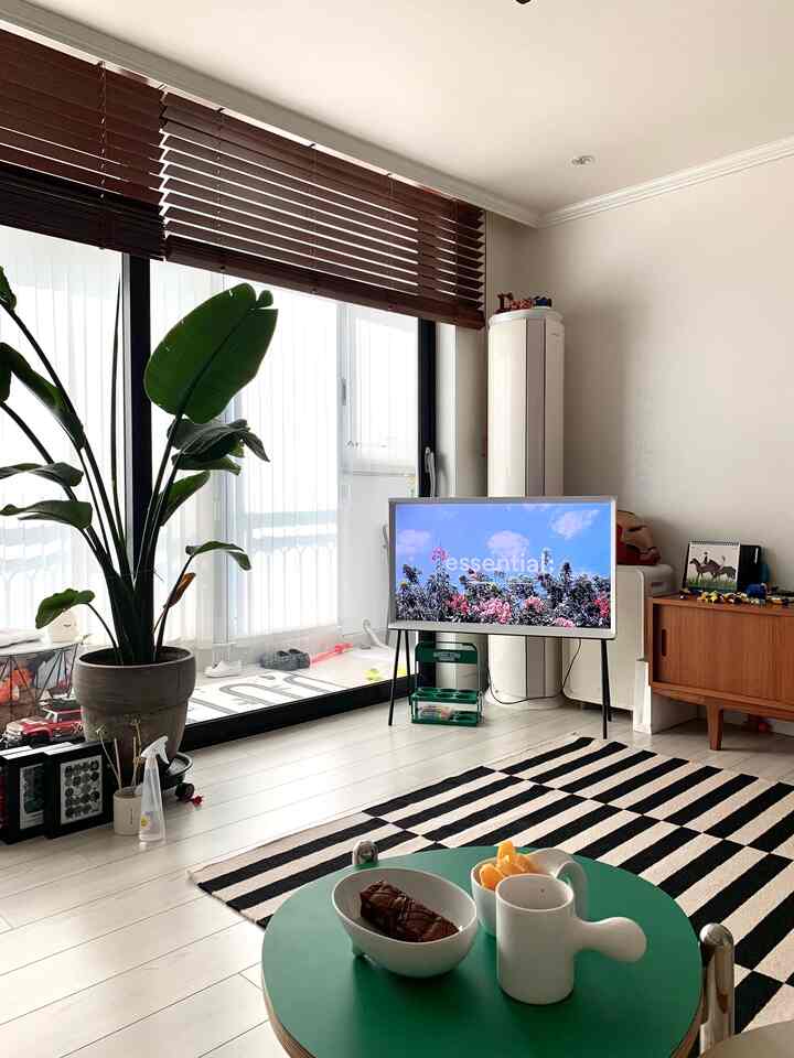 Modern living room with white walls and black striped rug, featuring a large plant and TV creating a cozy atmosphere