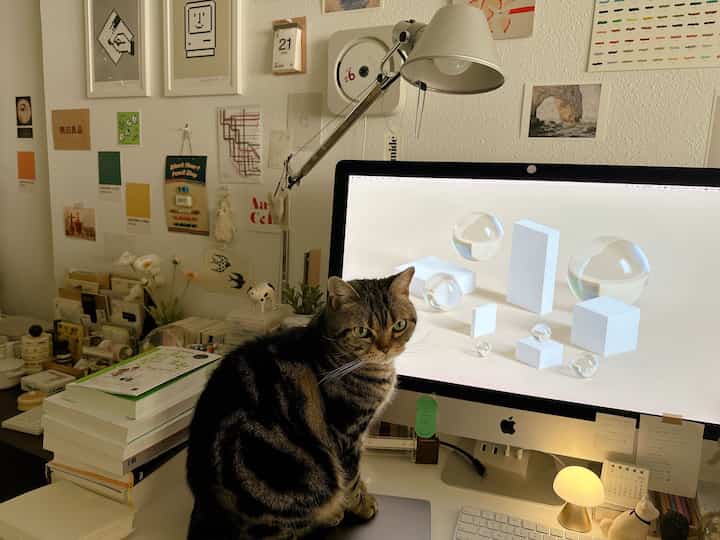 Natural-toned compact home office desk with white walls, featuring a cat sitting in front of an iMac, creating a cozy workspace atmosphere