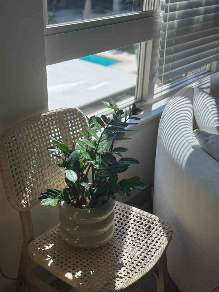 #plantbutler #ikea #livingroominterior