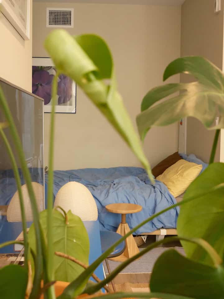 bedroom in the woods 🌿👀 
#studiointerior #smallroom #smallhouseinterior #bedroom #floyd #EamesChair 