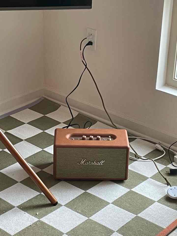 #marshallspeaker #ruginterior 