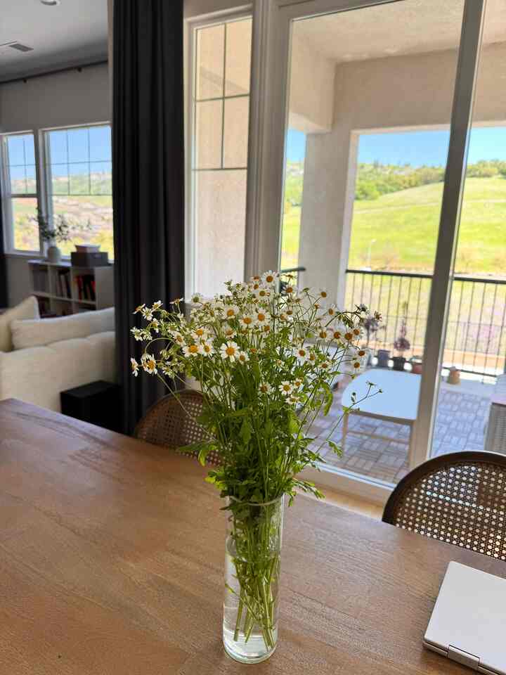 Warm & bright day 💛

#diningtable #view #woodeninterior 