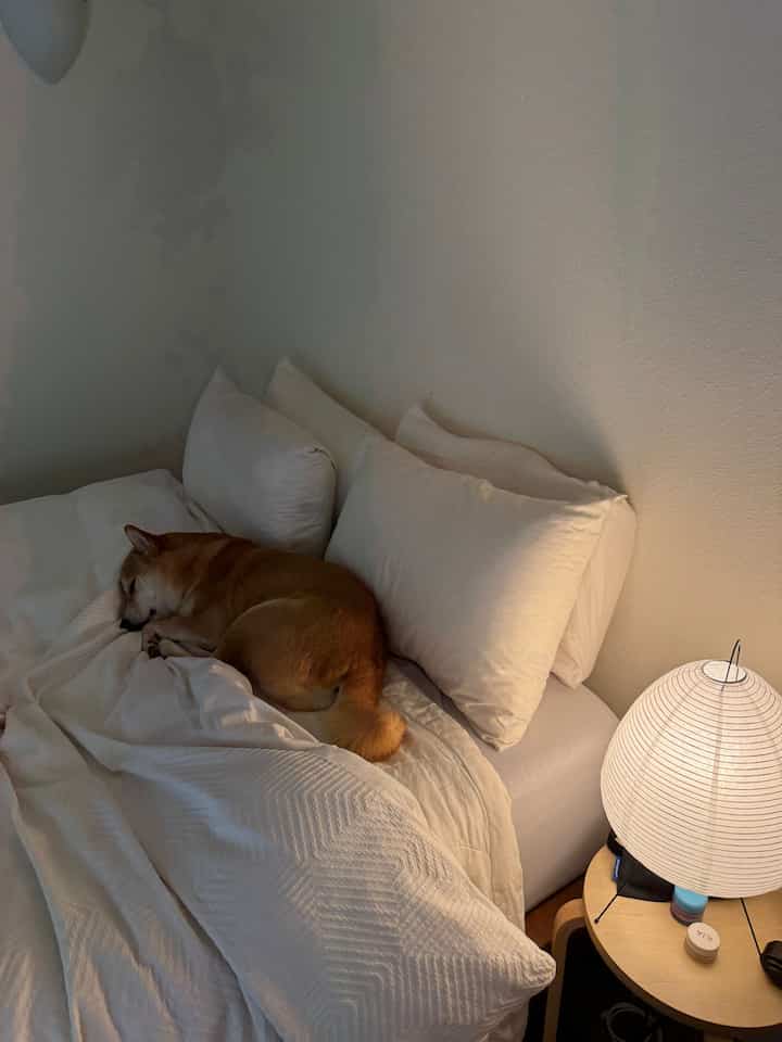 White and natural-toned bedroom featuring a dog resting on the bed with a Japanese-style decorative lamp on a side table creating a cozy atmosphere
