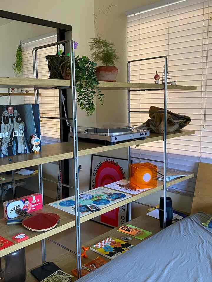 Natural toned studio apartment featuring wood and metal rack with audio turntable and plants arranged in cozy setting