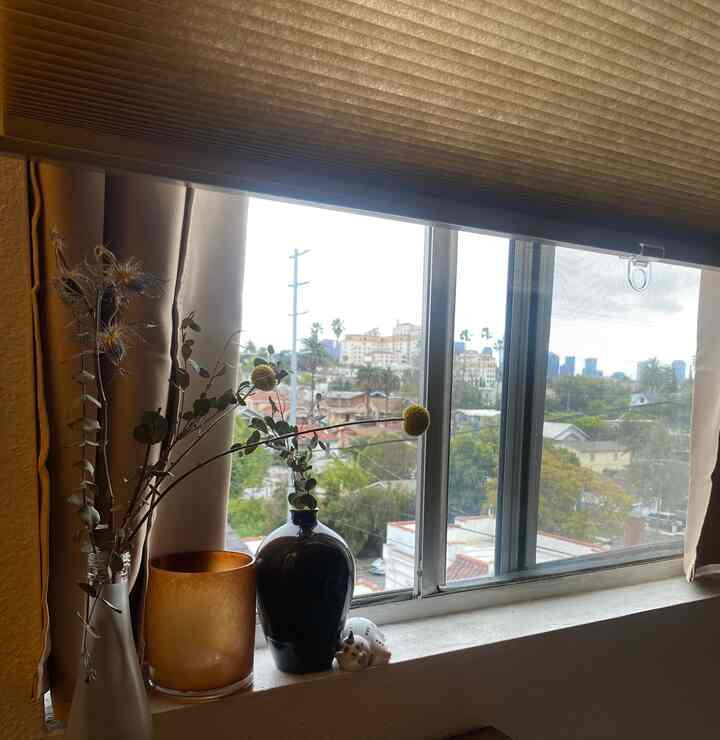 Kitty taking a relaxing afternoon nap on a gloomy day #losangeles #japandi #rainy