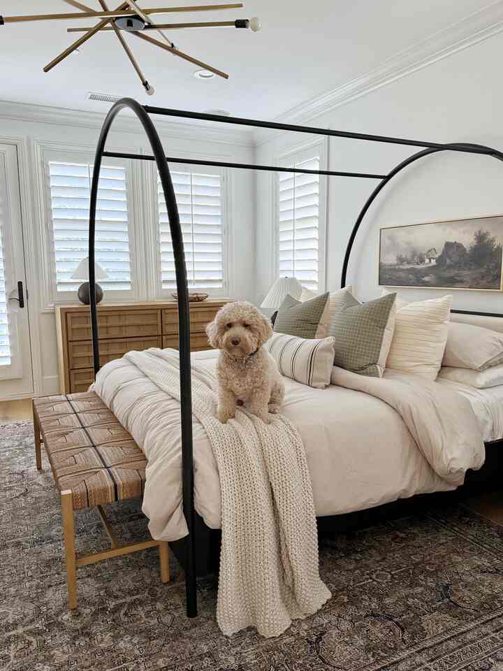 Modern bedroom design. #modernbedroom #moderninterior #dogsonfurniture
