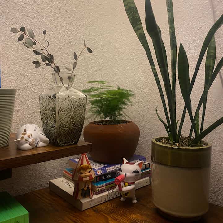 Tagged posts featuring Loulou Piggy Cat Blind Box 2