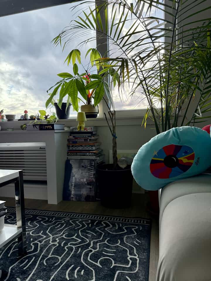 Loving how all my plants are thriving right in time for spring! #plantdecor #plantlife #greenery #livingroominterior 