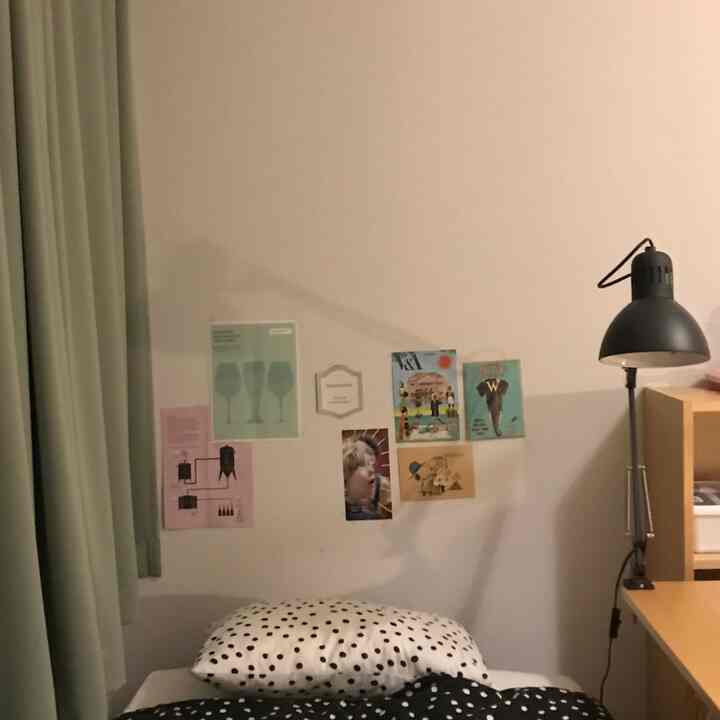 A cozy room #cozy #roomdecoration 