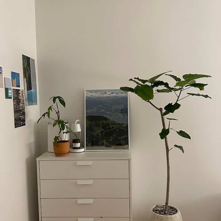 White interior #whitewoodinterior #greeninterior 