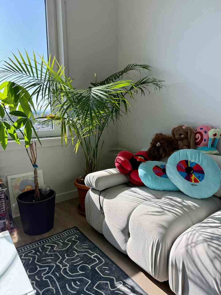 The sun is finally starting to come into my living room consistently! #springweather #sun #plantdecor