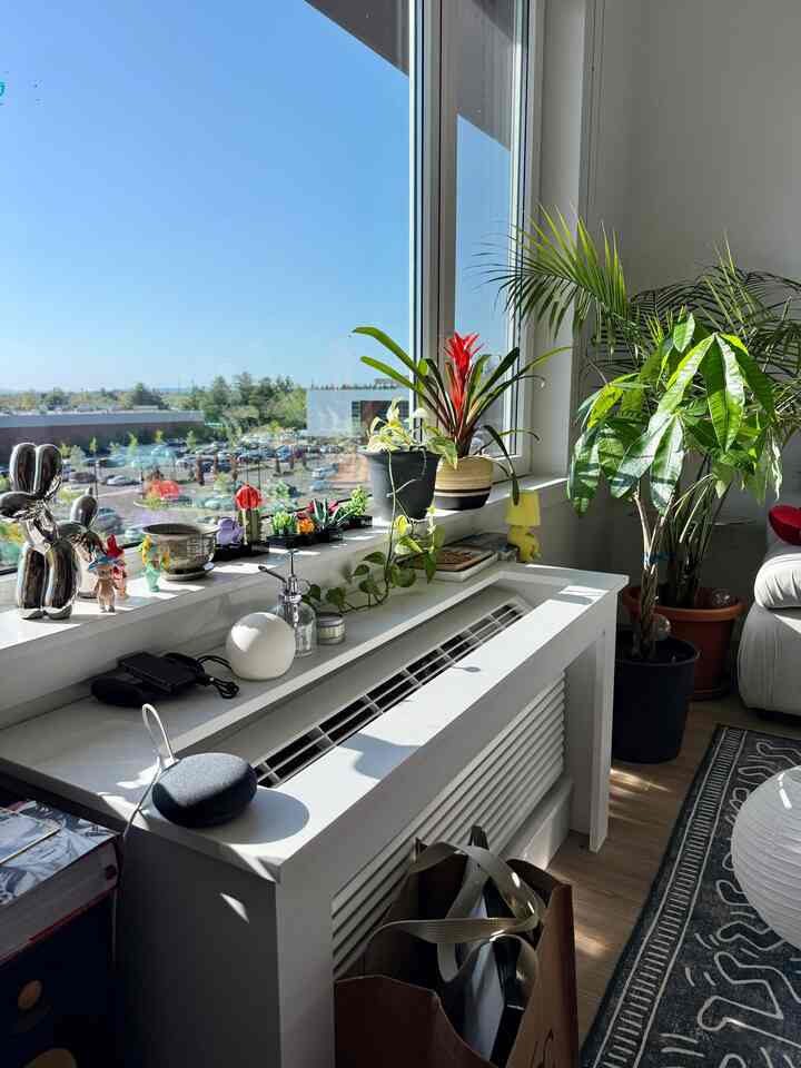 Our window sill is probably one of my favorite parts of our living room. We use it to hold all some of our plants and minis! #mini #plantdecor #greenery 