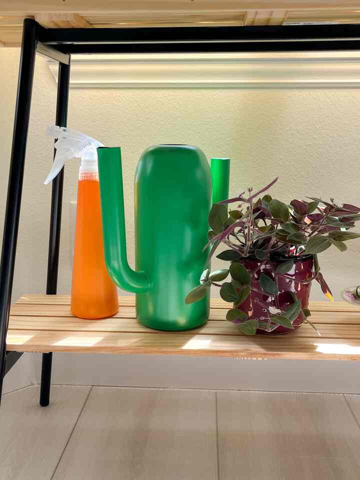 A space where different colors come together and still feel natural. 

#plantstand #indoorplantsdecor #plantcorner