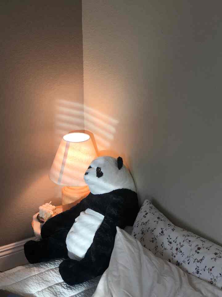 #panda 🛌🥱