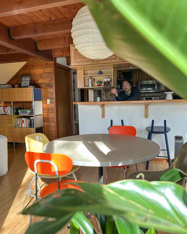 Warm natural color dining room featuring a round table, colorful chairs, and a cozy cat on the kitchen counter