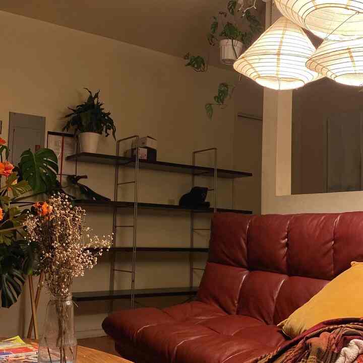 Beige-toned living room featuring a red sofa, plants, and warm lighting creating a cozy atmosphere