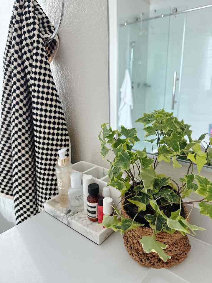 Natural-toned bathroom featuring marble bath accessories and a green plant arranged neatly on the countertop, creating a cozy atmosphere