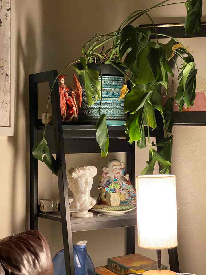 Cozy living room corner with black ladder bookshelf, brown leather sofa, and a monstera plant in a patterned blue vase