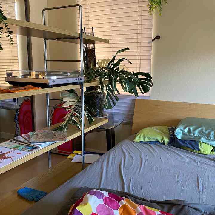 Random blue glove??? #japandi #favmonstera