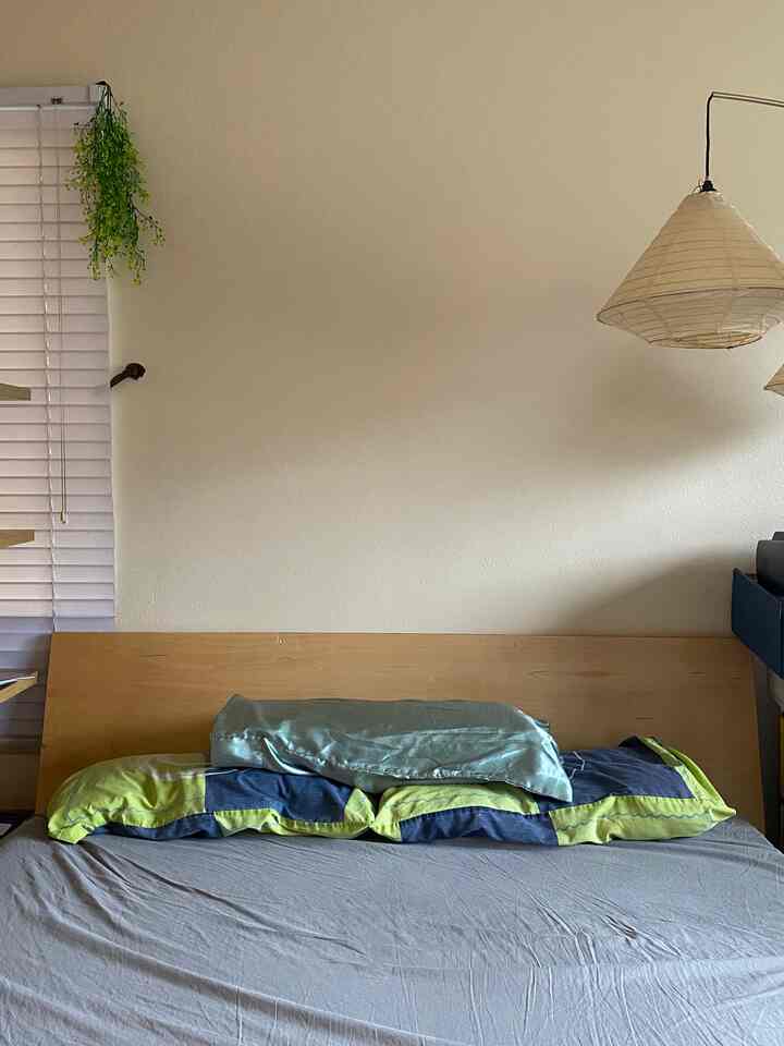 Front bedroom view #japandi #overheadlamp