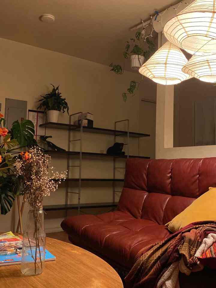 Cozy living room with warm lighting, featuring a red leather sofa, wooden coffee table, shelves, and greenery accents