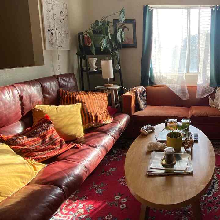 Warm red and brown toned living room featuring leather sofa, wooden coffee table, and a green plant with a cozy atmosphere
