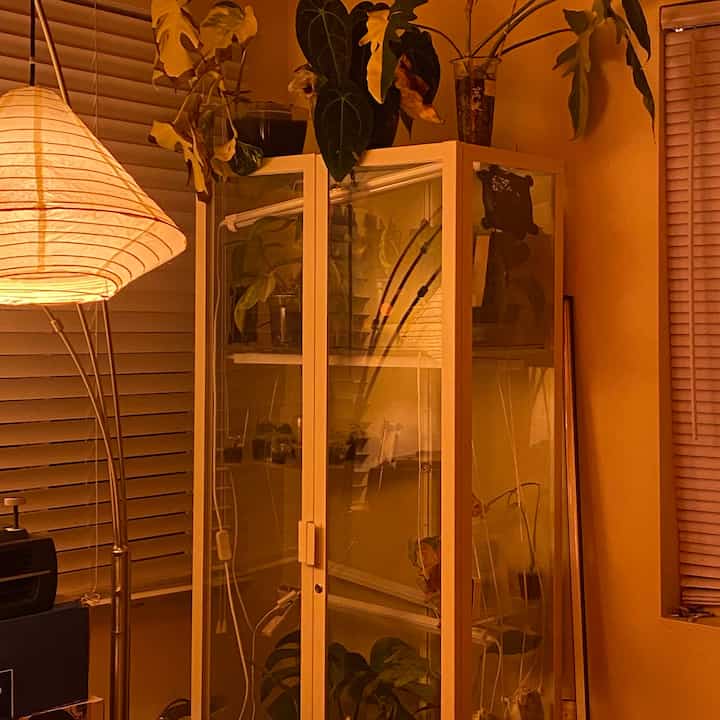 Tagged posts featuring White Cordless Faux Wood Blinds for Windows (Multiple options) 3