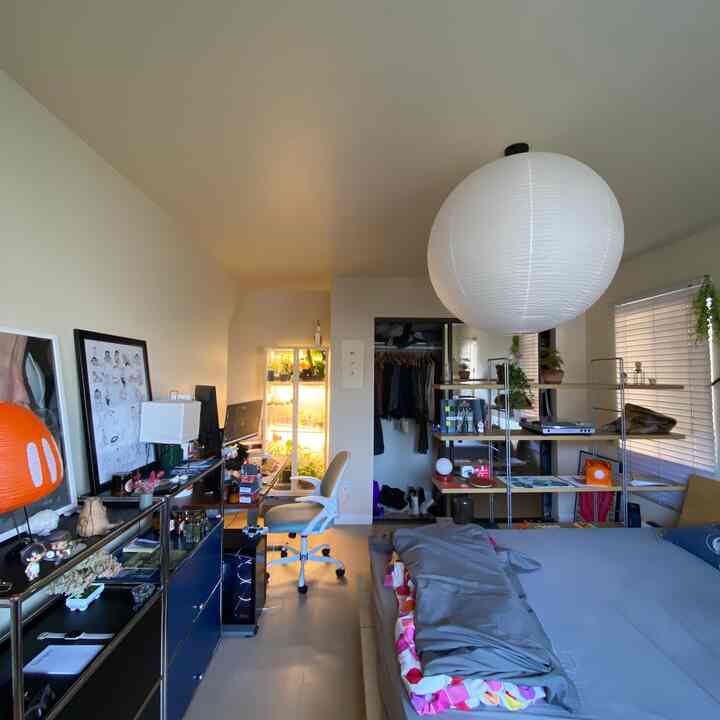 Half room view! Once the other half is renovated omg #japandi #mcm #popsoccolor