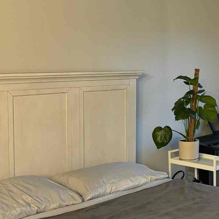 This color palette 💚🤍🩶🖤🤎
#springcolors #springcolorpalette #minimalism #minimalist #plants #Planterrier #bedroom #studio 