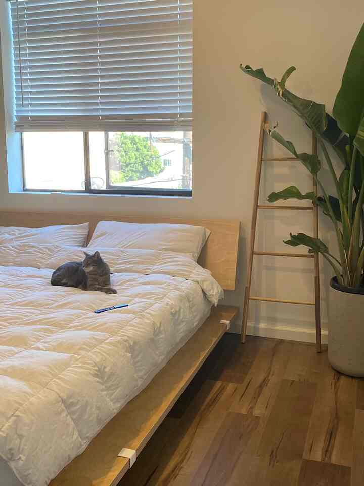 Living with cutie cats 🐈🐈‍⬛ 
#floyd #WoodInterior 