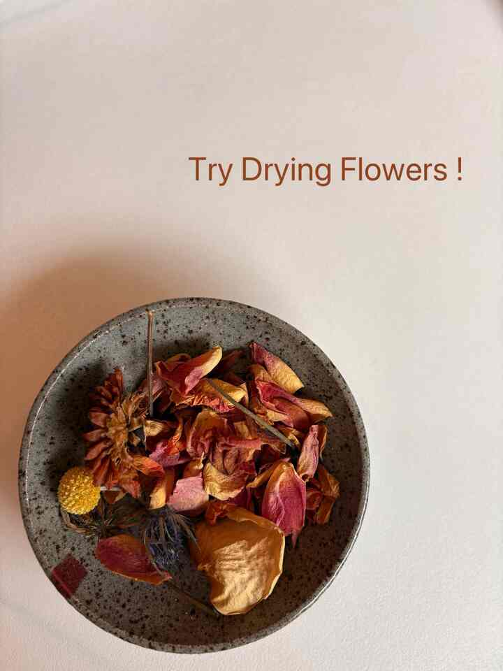 I’ve always loved flowers.
But sometimes, their beauty feels too fleeting.
- so I gently dry them and let them live on as little pieces of art around my space.

Just a little tip: start drying them while they’re still at their freshest,when their colors and shapes are still full of life.

A sprinkle of nostalgia, a touch of beauty—
let dried flowers bring a quiet charm to your home.😀 #driedflower #ElevateYourHome #flower #cozylivingroom #flowerinterior 

