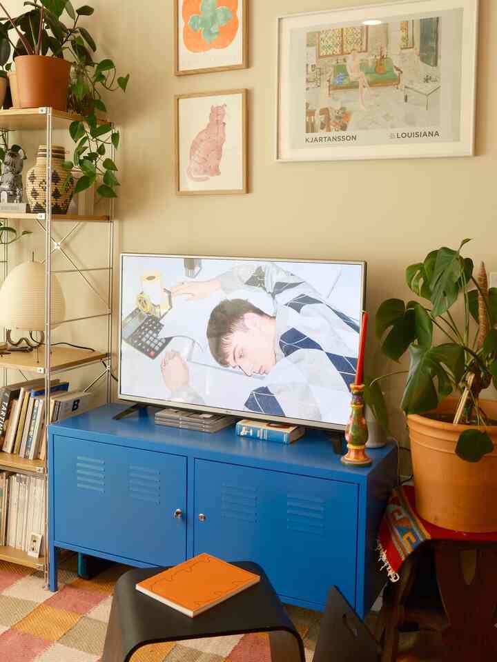 Beige-toned living room featuring a blue metal storage cabinet, shelving unit, and plants creating a cozy atmosphere