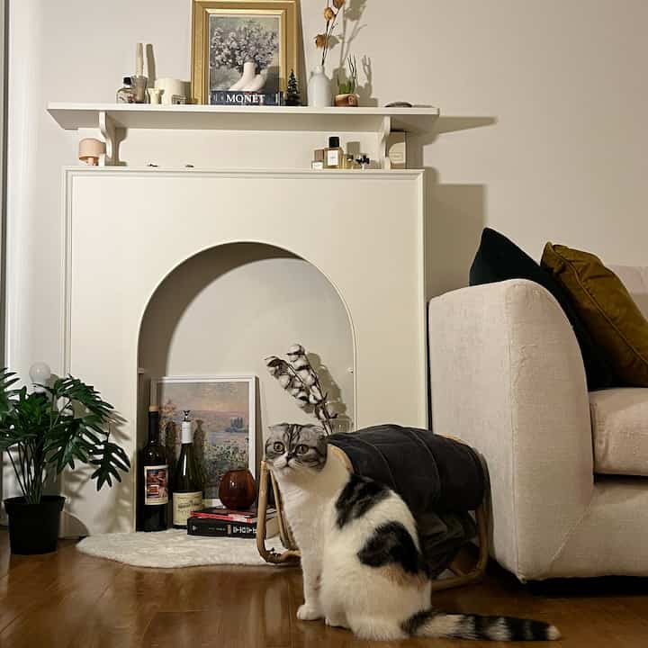 Selamat datang di sisi lain ruang tamu kami✨
Kucing kami, Cookie, juga menyambut Anda di sini. 
#homestagram #homedecor #cathouse #fireplace