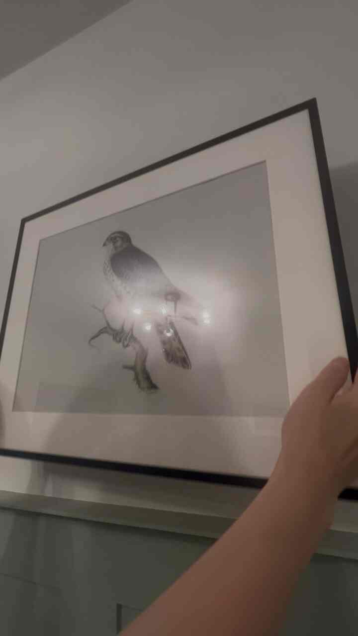 Hung this frame with IKEA’s ALFTA adhesive hook — no tools, no wall damage.
When you’re done, just stretch the tab and it peels right off. So renter-friendly!

#renterfriendly #ikeahack #decorhack #diyhome #apartmentdecor #wallartideas #smallspacedecor #nailfree #damagefree #homestyle