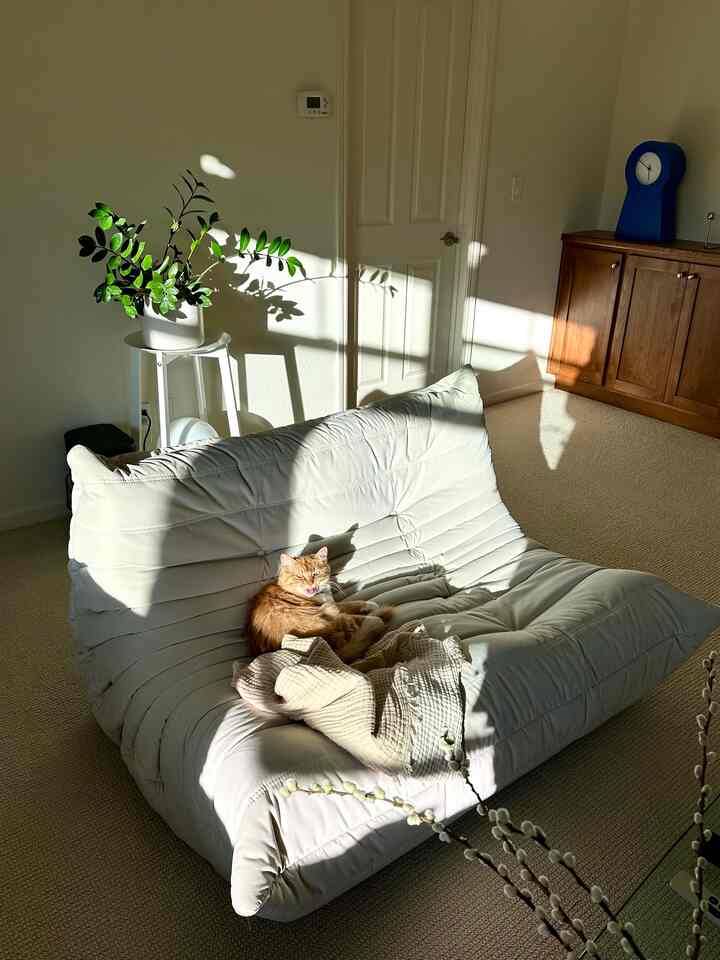 Using modular furniture always helps for changing interior and also for the rental home interior design 🤭✨
#cozy #cozyroom #petterrier 