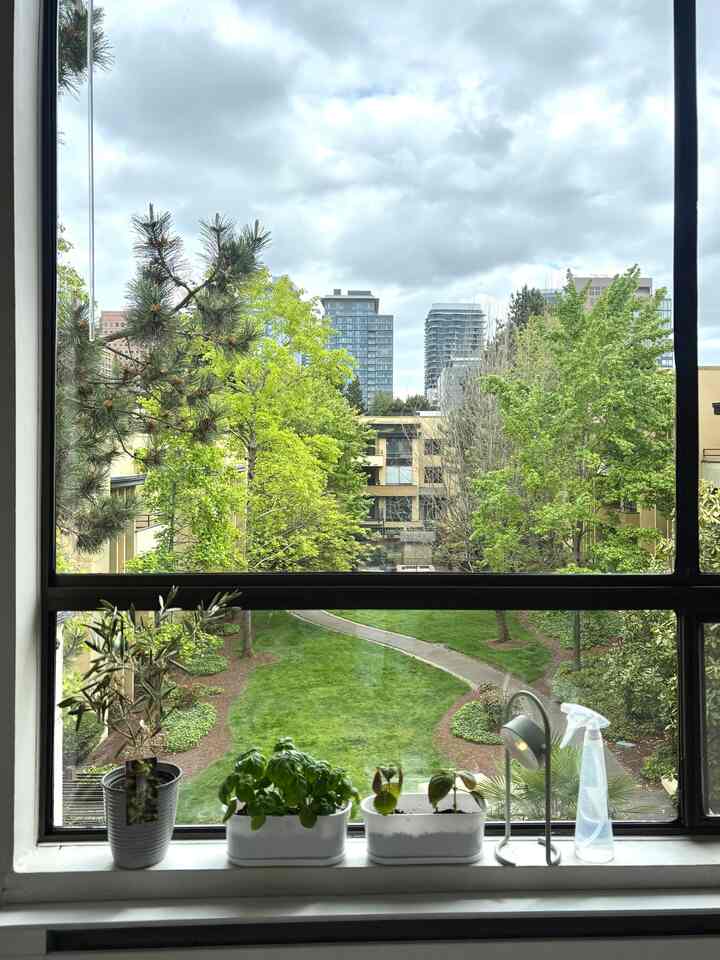 Saved my basil and herbs from dying by giving them a fresh new pot.

#Planterrier #plant #plantinterior #PlantDeco #plantpot