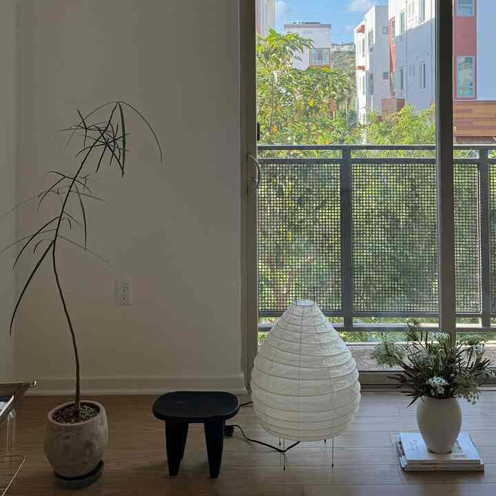 Natural color and wood tone living room featuring floor lamp, large plant, and veranda with a cozy atmosphere