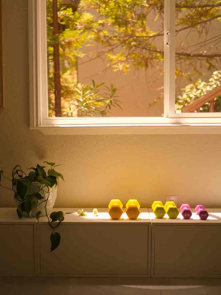 Natural toned compact home gym with warm sunlight, white storage cabinets displaying pastel dumbbells and a plant in a simple setting