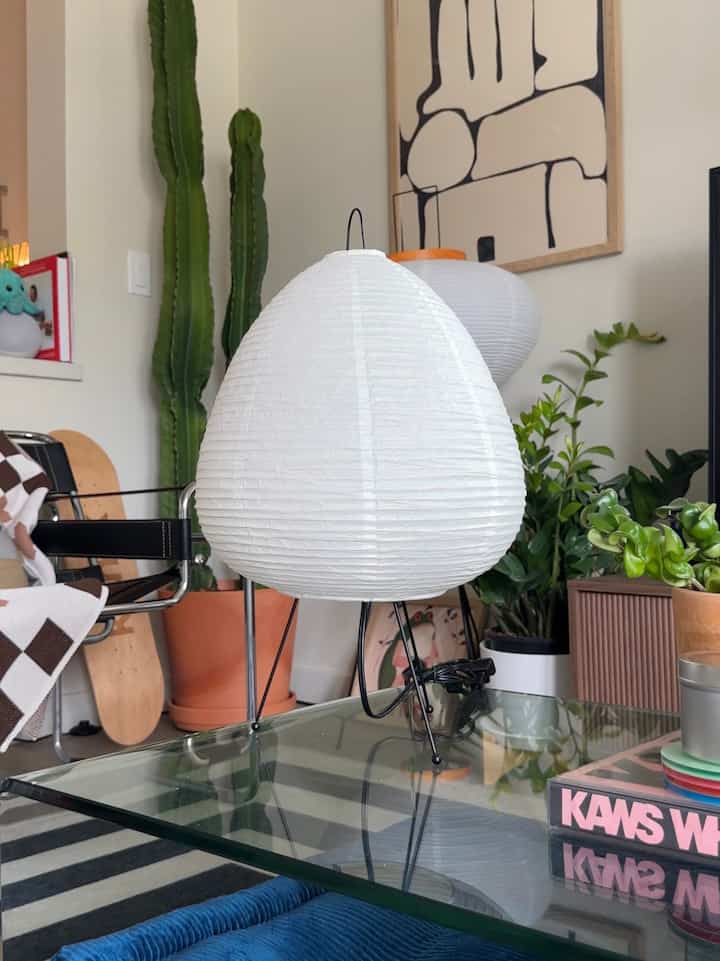 White table lamps and various plants arranged in a living room space with a natural and cozy atmosphere