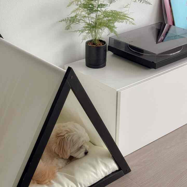 Got a record player as a gift. What’s your favorite music genre?
#vinyl #recordplayer #minimal #dog
