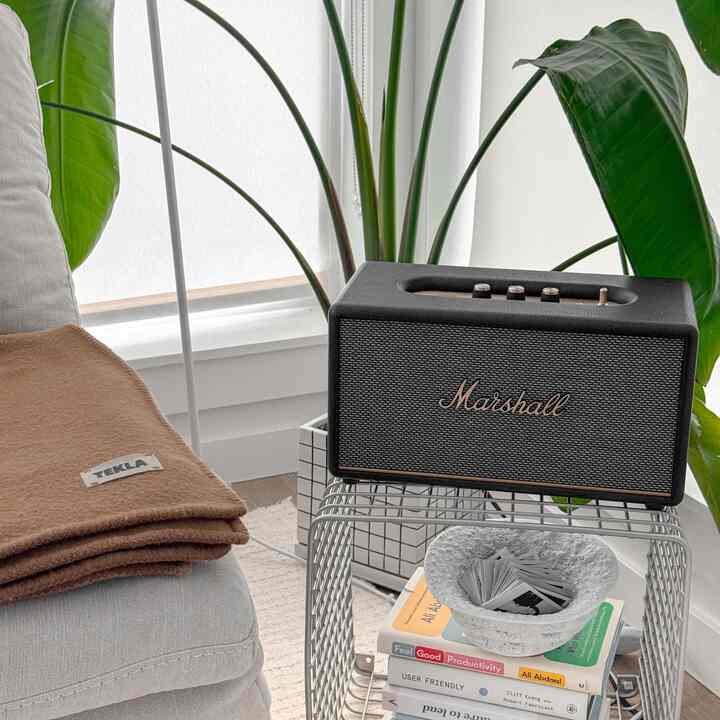 Just a fun fact — I’ve had this birds of pradise plant since it was the size of my palm about five years ago. Now, it’s almost as tall as me!

#marshalls #speaker #music #plant #wirebox 